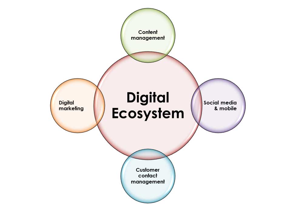 Redefining Digital Marketing Excellence